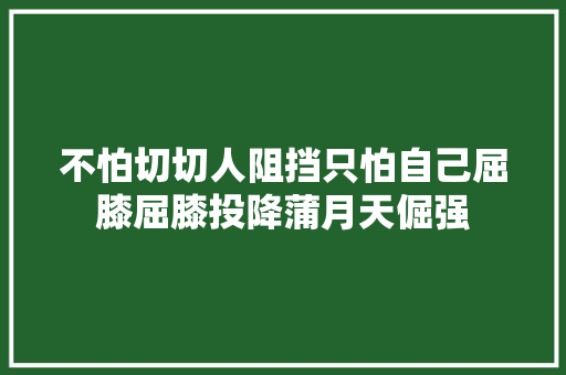不怕切切人阻挡只怕自己屈膝屈膝投降蒲月天倔强