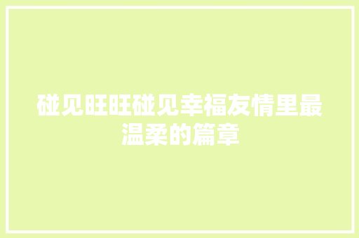 碰见旺旺碰见幸福友情里最温柔的篇章