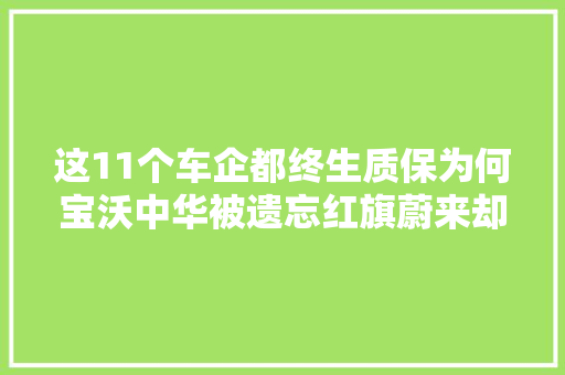 这11个车企都终生质保为何宝沃中华被遗忘红旗蔚来却越强