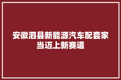 安徽泗县新能源汽车配套家当迈上新赛道