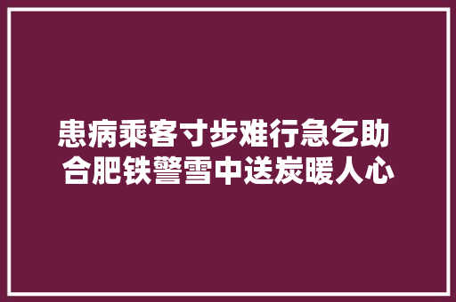 患病乘客寸步难行急乞助 合肥铁警雪中送炭暖人心