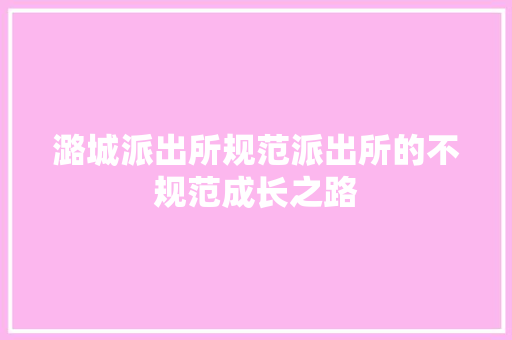 潞城派出所规范派出所的不规范成长之路