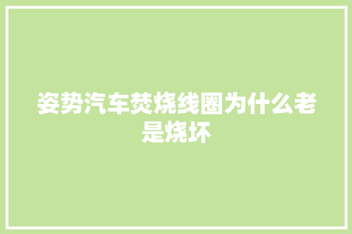 姿势汽车焚烧线圈为什么老是烧坏