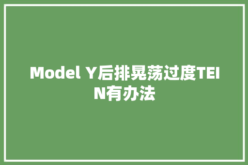 Model Y后排晃荡过度TEIN有办法