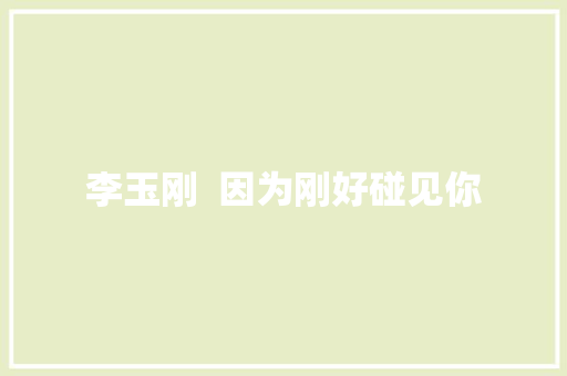 李玉刚  因为刚好碰见你