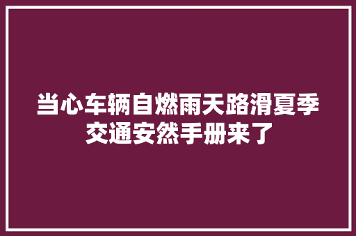 当心车辆自燃雨天路滑夏季交通安然手册来了