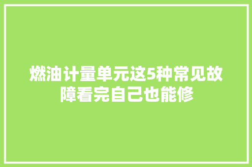 燃油计量单元这5种常见故障看完自己也能修