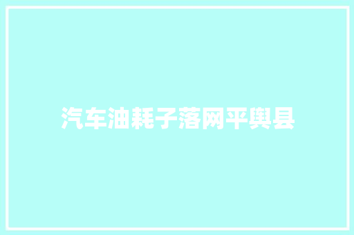 汽车油耗子落网平舆县