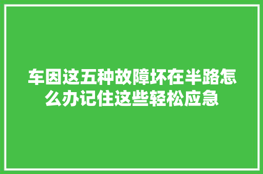 车因这五种故障坏在半路怎么办记住这些轻松应急