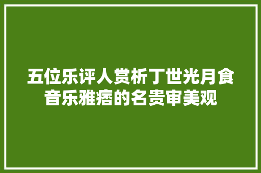 五位乐评人赏析丁世光月食音乐雅痞的名贵审美观