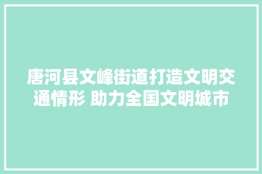 唐河县文峰街道打造文明交通情形 助力全国文明城市创建