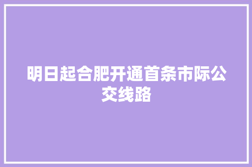 明日起合肥开通首条市际公交线路