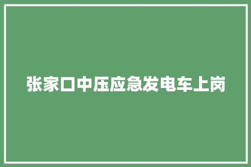 张家口中压应急发电车上岗