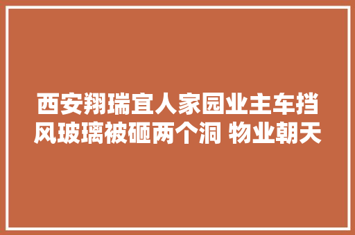 西安翔瑞宜人家园业主车挡风玻璃被砸两个洞 物业朝天摄像头已出故障