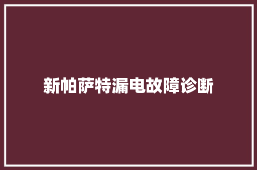 新帕萨特漏电故障诊断