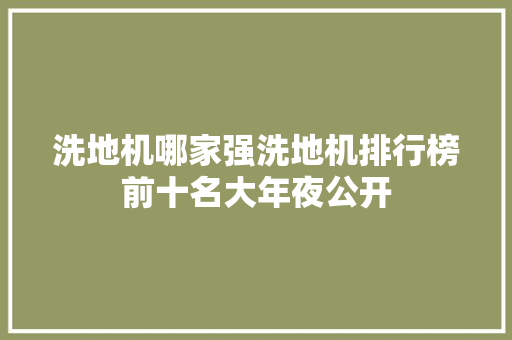 洗地机哪家强洗地机排行榜前十名大年夜公开