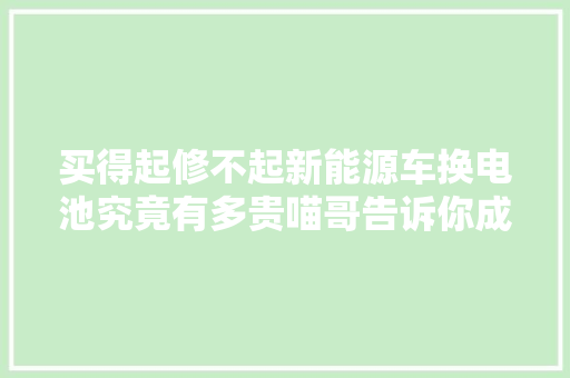 买得起修不起新能源车换电池究竟有多贵喵哥告诉你成本价