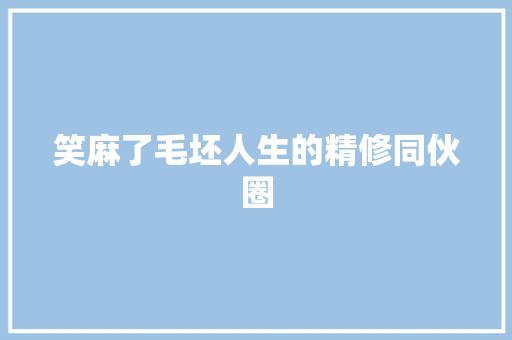 笑麻了毛坯人生的精修同伙圈