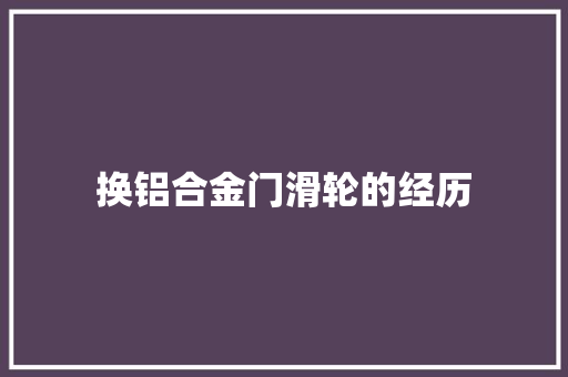 换铝合金门滑轮的经历