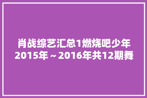 肖战综艺汇总1燃烧吧少年2015年～2016年共12期舞台
