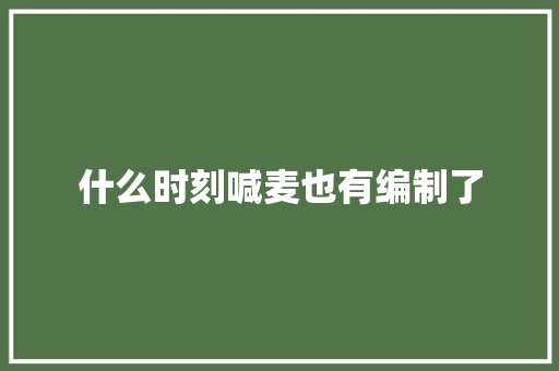 什么时刻喊麦也有编制了