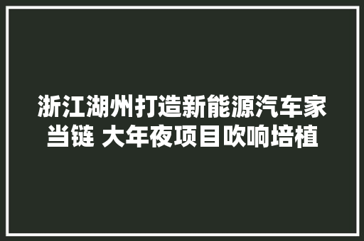 浙江湖州打造新能源汽车家当链 大年夜项目吹响培植冲锋号