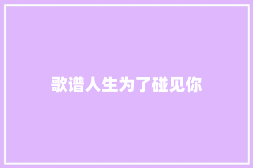 歌谱人生为了碰见你