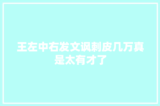 王左中右发文讽刺皮几万真是太有才了