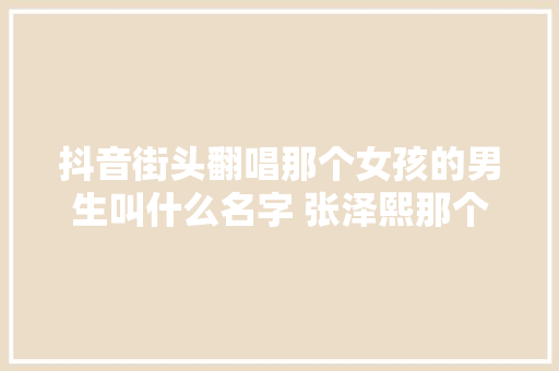 抖音街头翻唱那个女孩的男生叫什么名字 张泽熙那个女孩歌词完整版