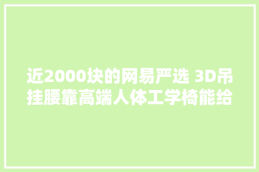 近2000块的网易严选 3D吊挂腰靠高端人体工学椅能给你若何的体验