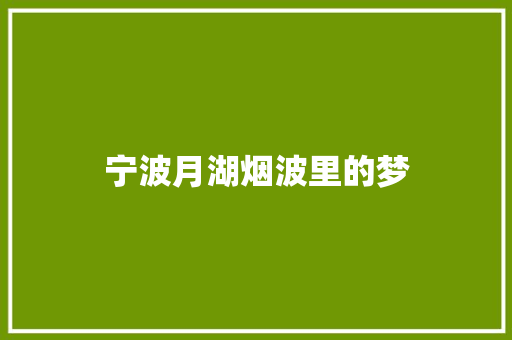 宁波月湖烟波里的梦