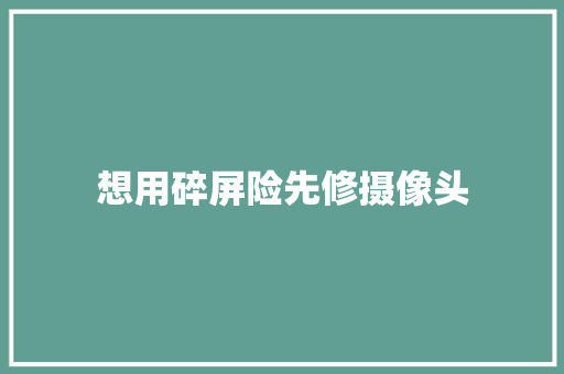 想用碎屏险先修摄像头