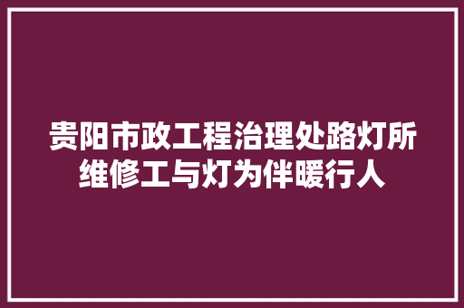 贵阳市政工程治理处路灯所维修工与灯为伴暖行人