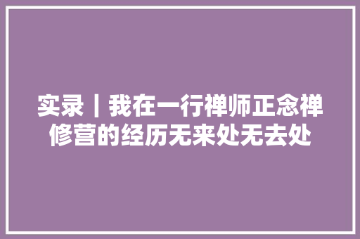 实录｜我在一行禅师正念禅修营的经历无来处无去处