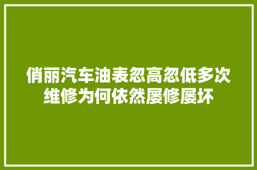 俏丽汽车油表忽高忽低多次维修为何依然屡修屡坏