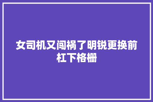 女司机又闯祸了明锐更换前杠下格栅