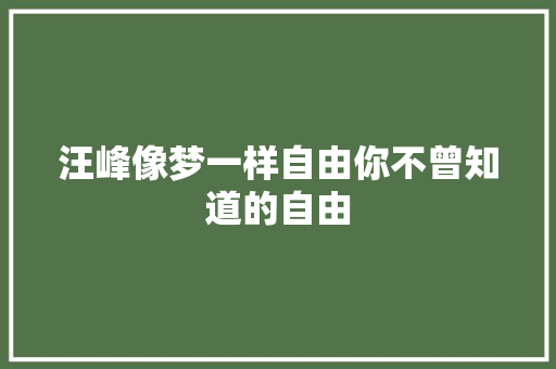 汪峰像梦一样自由你不曾知道的自由