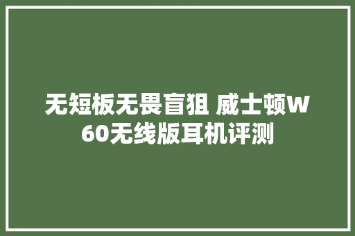 无短板无畏盲狙 威士顿W60无线版耳机评测