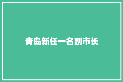 青岛新任一名副市长
