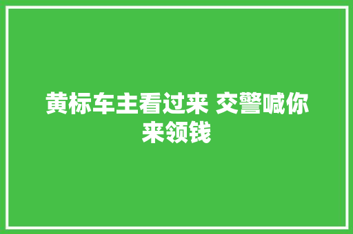 黄标车主看过来 交警喊你来领钱