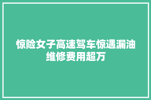 惊险女子高速驾车惊遇漏油维修费用超万