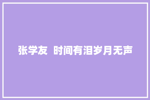 张学友  时间有泪岁月无声