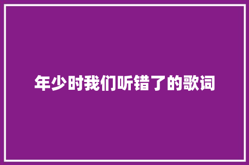 年少时我们听错了的歌词