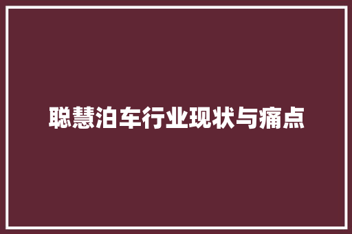 聪慧泊车行业现状与痛点