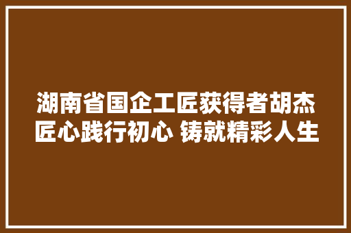 湖南省国企工匠获得者胡杰匠心践行初心 铸就精彩人生