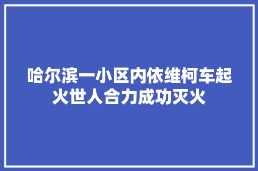 哈尔滨一小区内依维柯车起火世人合力成功灭火
