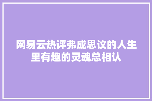 网易云热评弗成思议的人生里有趣的灵魂总相认