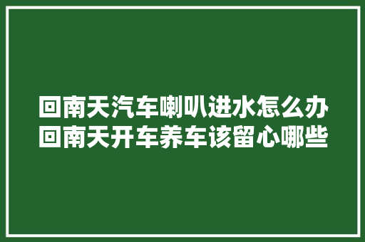 回南天汽车喇叭进水怎么办回南天开车养车该留心哪些