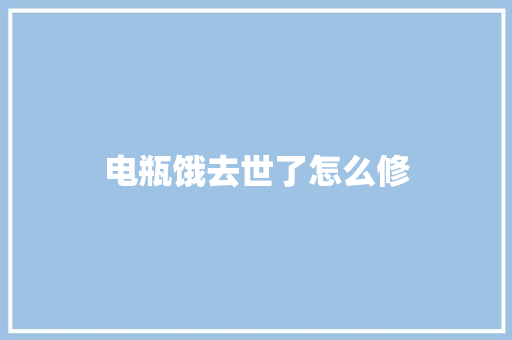 电瓶饿去世了怎么修