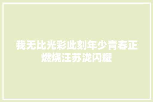 我无比光彩此刻年少青春正燃烧汪苏泷闪耀